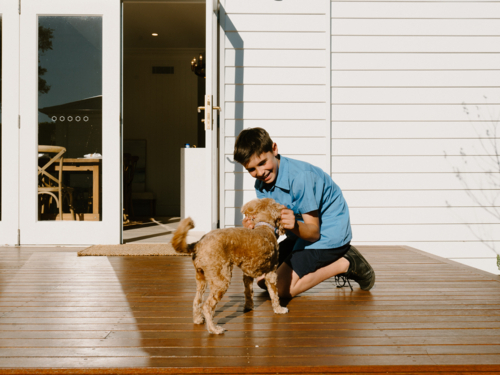 Young teenage boy petting a dog in a wooden deck outside. - Australian Stock Image