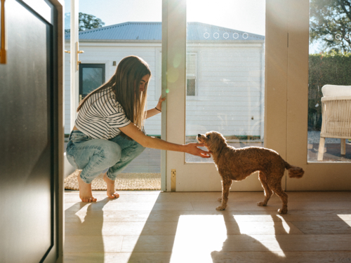 Young teenage girl petting a small dog in the doorway. - Australian Stock Image