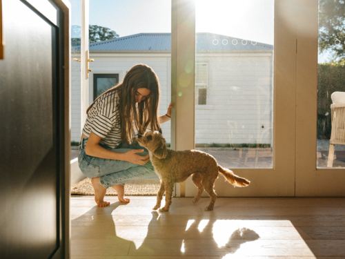 Young teenage girl petting a small dog in the doorway. - Australian Stock Image