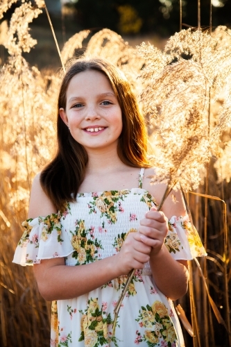 Young tween girl and bulrushes backlit by golden sunlight - Australian Stock Image