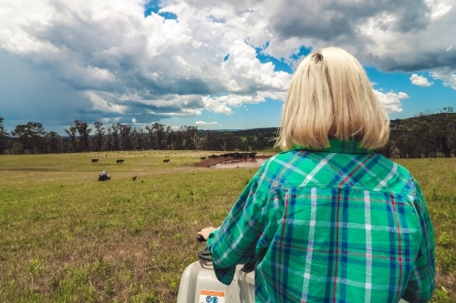 Young woman sitting on stationary quad watching cattle being mustered towards a dam - Australian Stock Image